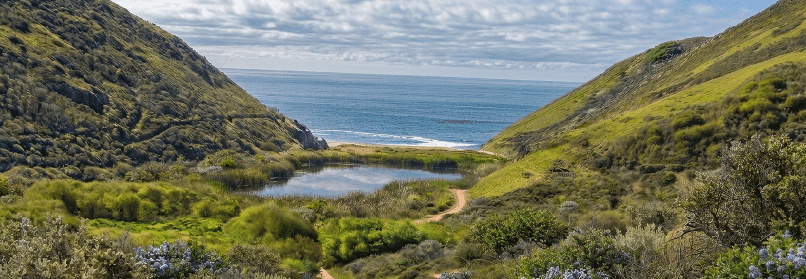 A green coastal valley with a trail leading past a pond to the ocean
